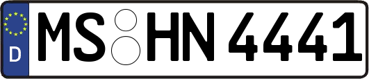 MS-HN4441
