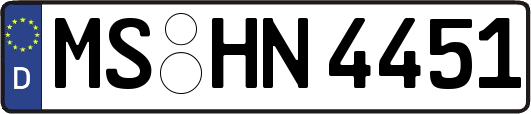 MS-HN4451