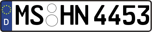 MS-HN4453