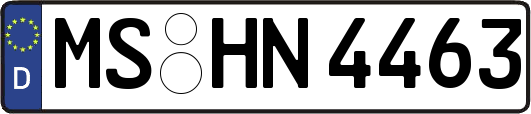 MS-HN4463