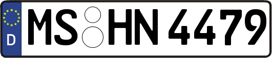 MS-HN4479