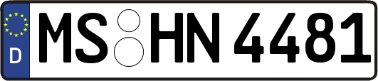 MS-HN4481