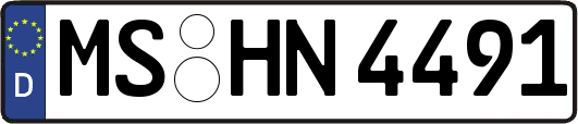 MS-HN4491