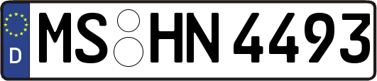 MS-HN4493