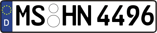 MS-HN4496