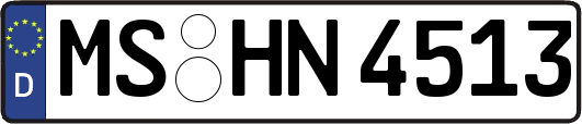 MS-HN4513