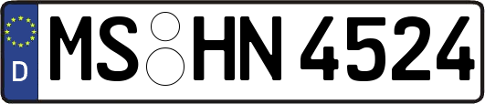 MS-HN4524