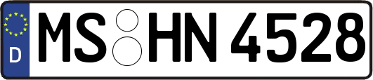 MS-HN4528