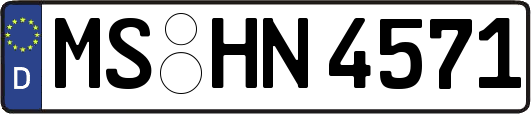 MS-HN4571