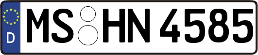 MS-HN4585
