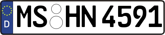 MS-HN4591
