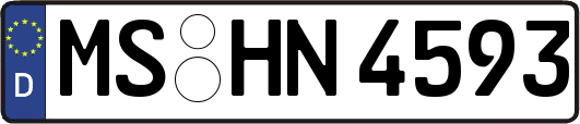 MS-HN4593