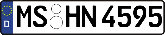 MS-HN4595
