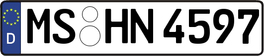 MS-HN4597