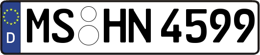 MS-HN4599