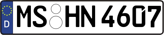 MS-HN4607