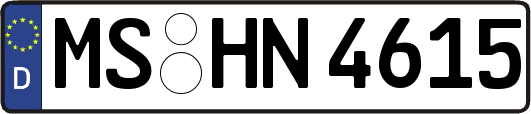 MS-HN4615