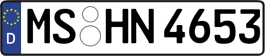 MS-HN4653