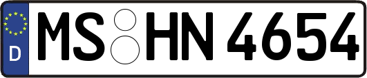 MS-HN4654