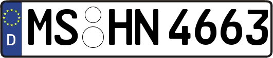 MS-HN4663