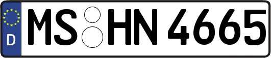 MS-HN4665