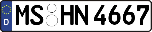 MS-HN4667