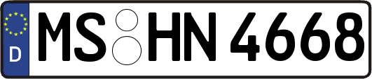 MS-HN4668