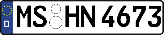 MS-HN4673