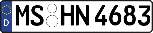 MS-HN4683