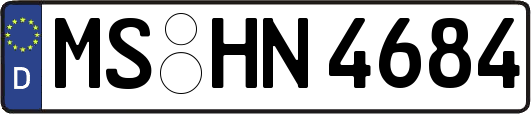 MS-HN4684