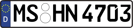 MS-HN4703