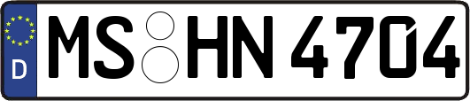 MS-HN4704