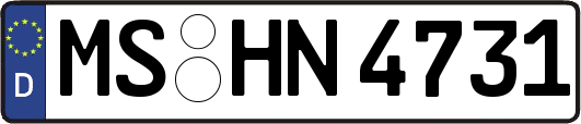 MS-HN4731