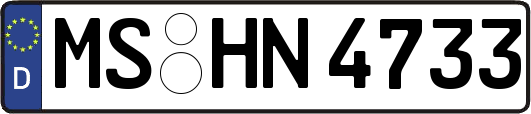 MS-HN4733