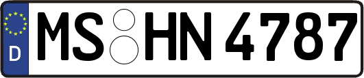 MS-HN4787