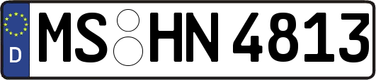 MS-HN4813