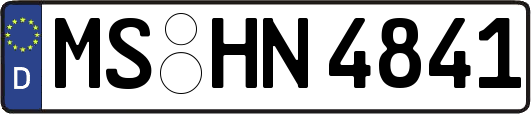 MS-HN4841