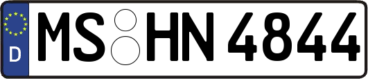 MS-HN4844