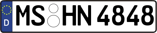 MS-HN4848