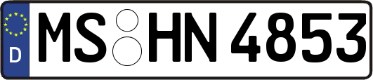 MS-HN4853