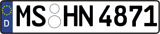 MS-HN4871