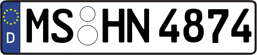 MS-HN4874