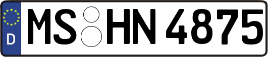MS-HN4875