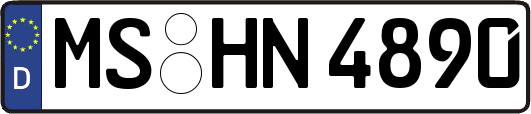 MS-HN4890