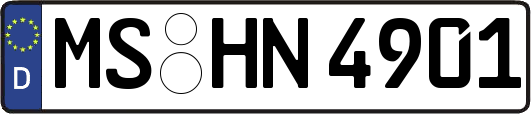 MS-HN4901