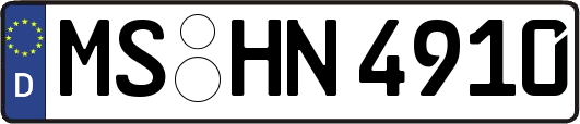 MS-HN4910
