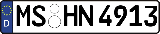 MS-HN4913