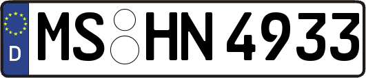 MS-HN4933