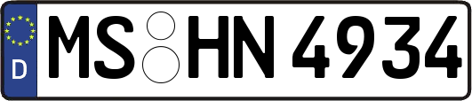 MS-HN4934