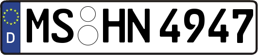 MS-HN4947